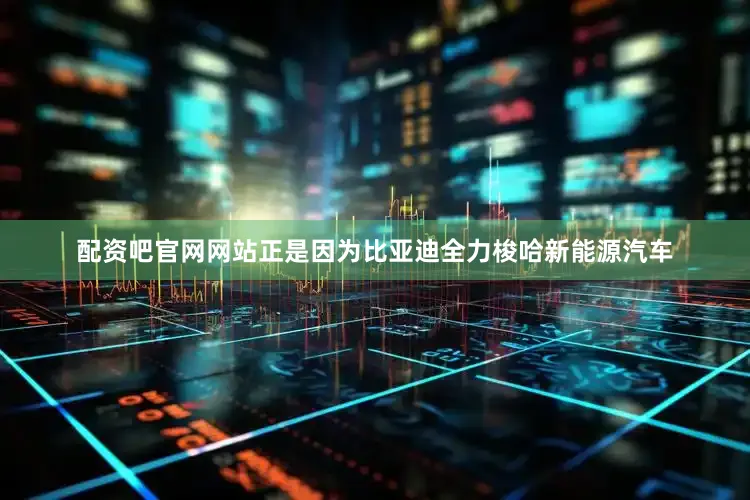 配资吧官网网站正是因为比亚迪全力梭哈新能源汽车