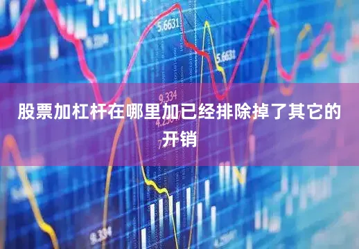 股票加杠杆在哪里加已经排除掉了其它的开销