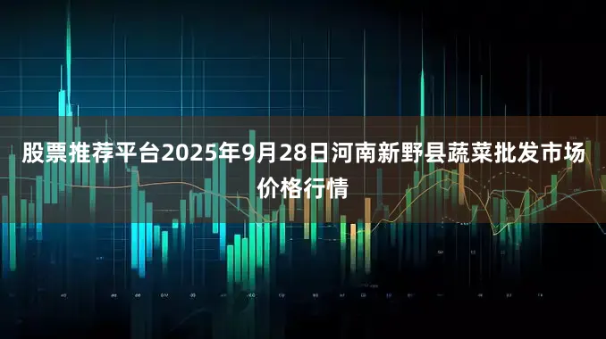 股票推荐平台2025年9月28日河南新野县蔬菜批发市场价格行情