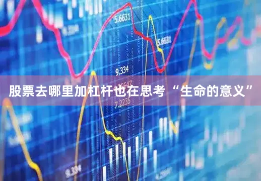 股票去哪里加杠杆也在思考 “生命的意义”